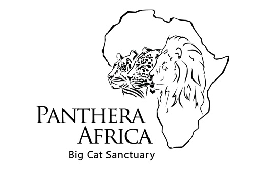 Panthera Africa Big Cat Sanctuary sml