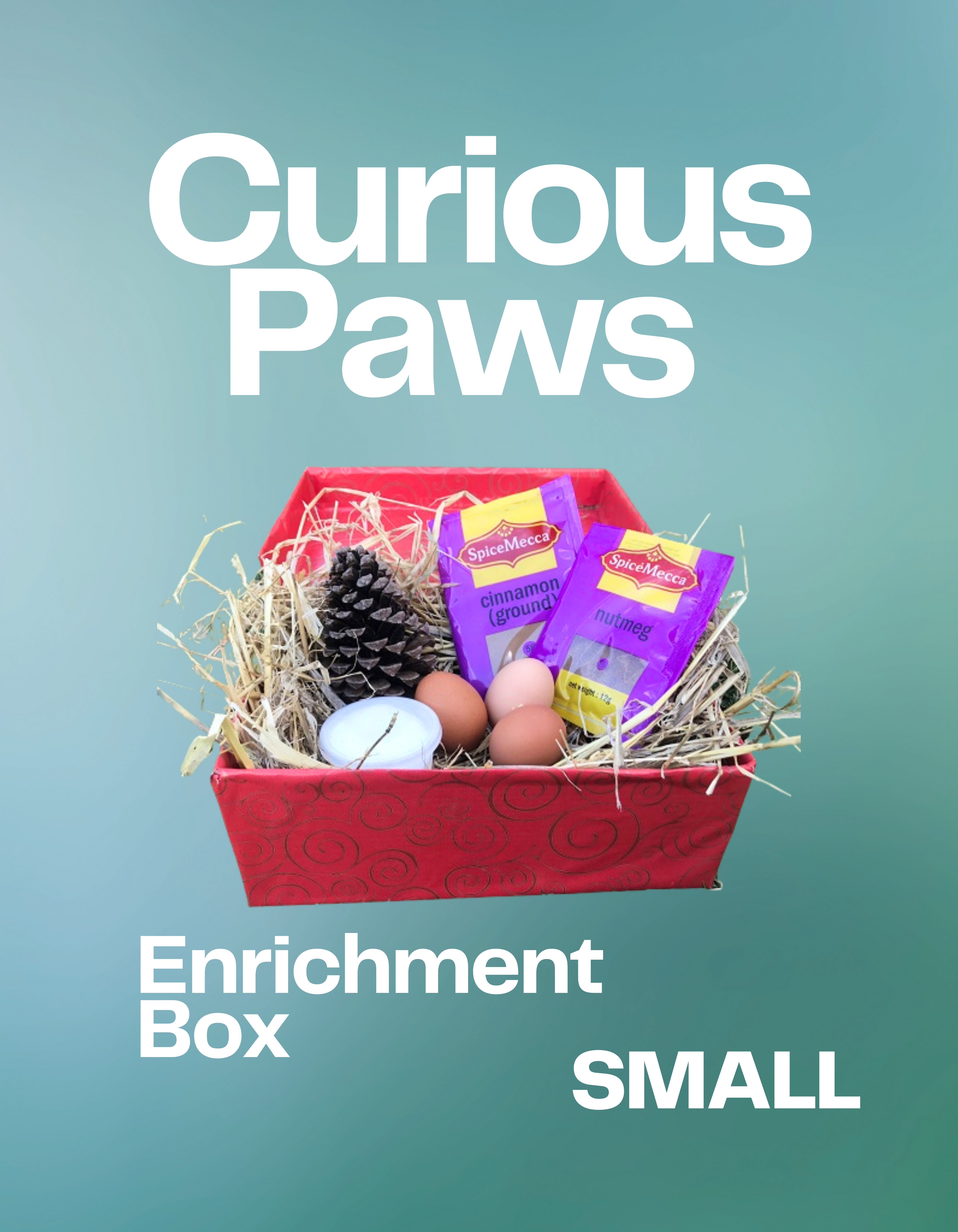 Curious Paws Enrichment Box (Small)