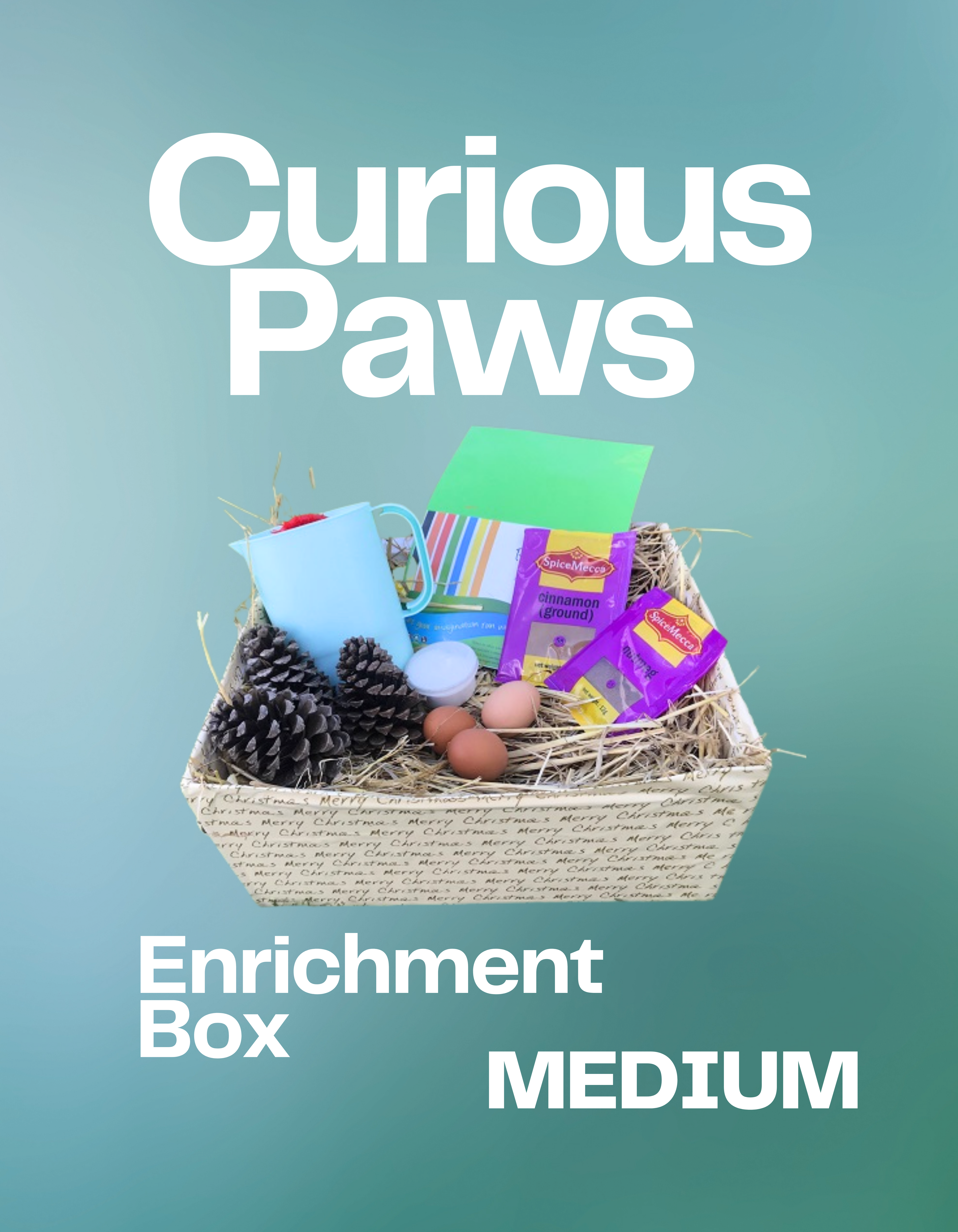 Curious Paws Enrichment Box (Medium)