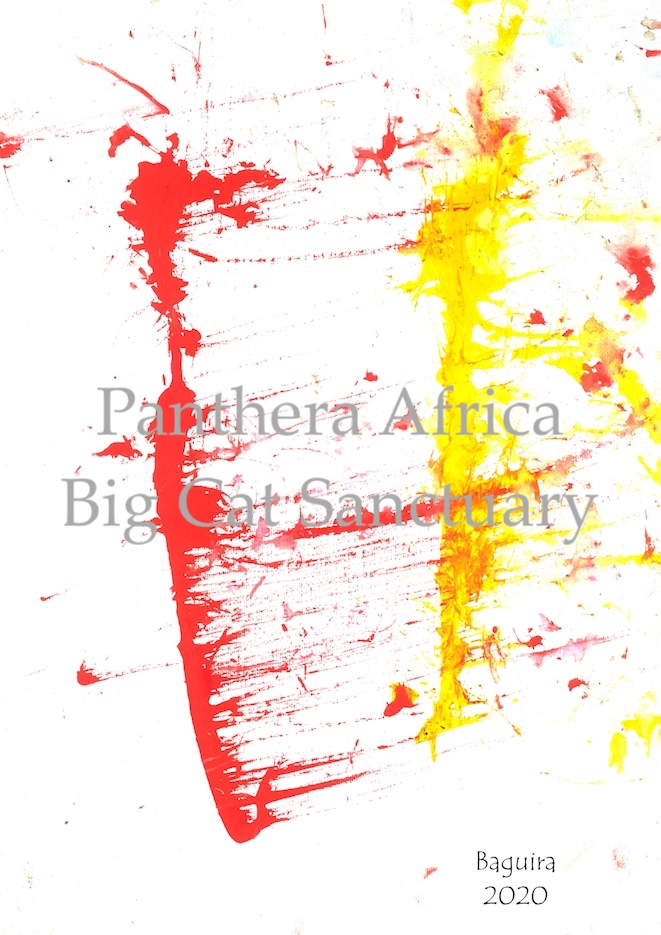 PAW Painting by Baguira