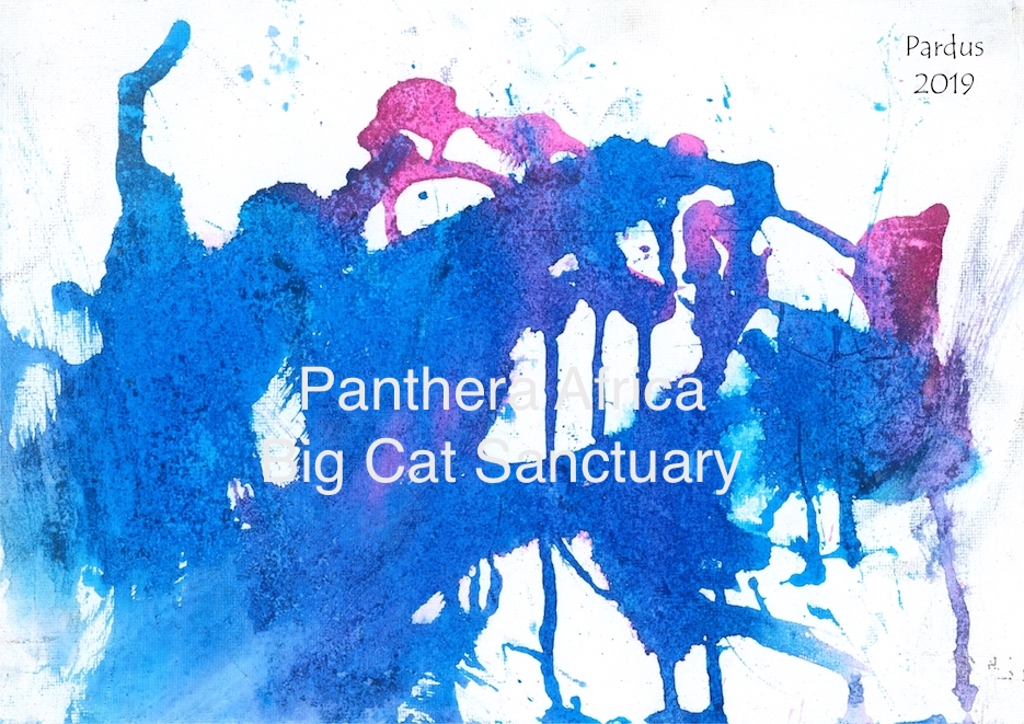 PAW Painting by Pardus
