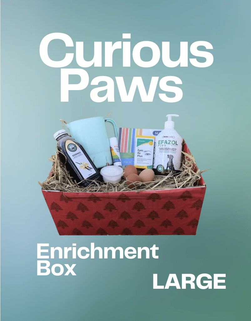 Curious Paws Enrichment Box (Large)