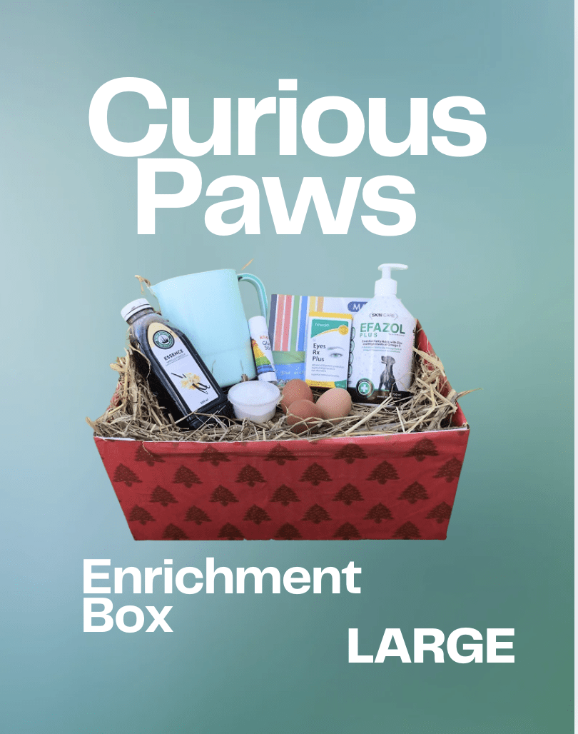 Curious Paws Enrichment Box (Large)