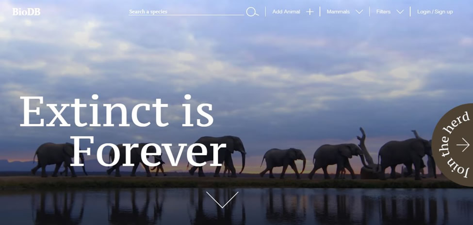 BioDB and Panthera Africa Uniting for animal conservation awareness