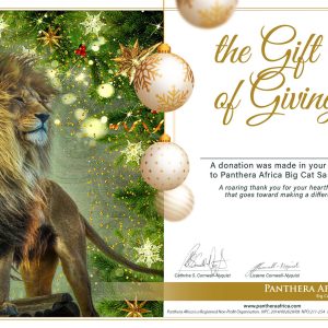 xmas donation cert-01