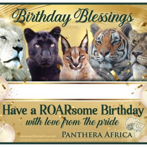 birthday wishes certificate