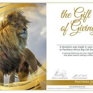 Gift of Giving Certificate