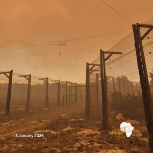 Wildfires at Panthera Africa